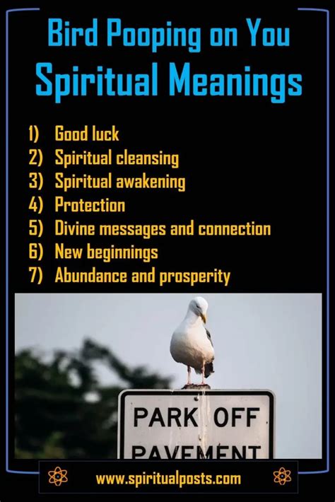 Bird Poop Symbolism: Luck, Messages & Spiritual Signs.